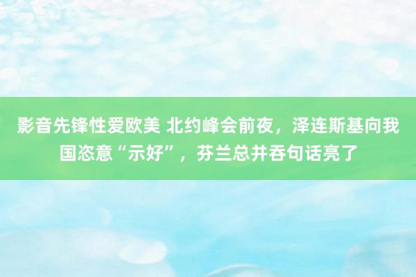 影音先锋性爱欧美 北约峰会前夜，泽连斯基向我国恣意“示好”，芬兰总并吞句话亮了