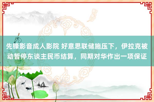 先锋影音成人影院 好意思联储施压下，伊拉克被动暂停东谈主民币结算，同期对华作出一项保证