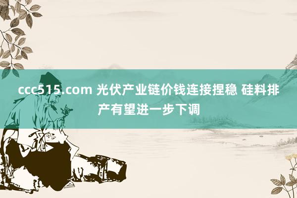 ccc515.com 光伏产业链价钱连接捏稳 硅料排产有望进一步下调