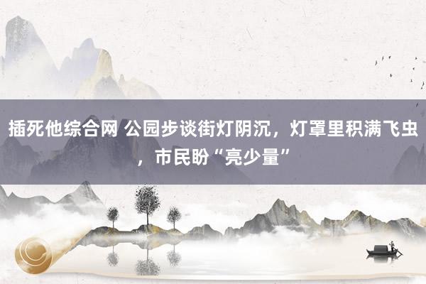 插死他综合网 公园步谈街灯阴沉，灯罩里积满飞虫，市民盼“亮少量”