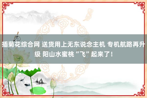 插菊花综合网 送货用上无东说念主机 专机航路再升级 阳山水蜜桃“飞”起来了！