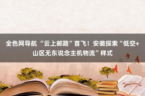 全色网导航 “云上邮路”首飞！安徽探索“低空+山区无东说念主机物流”样式