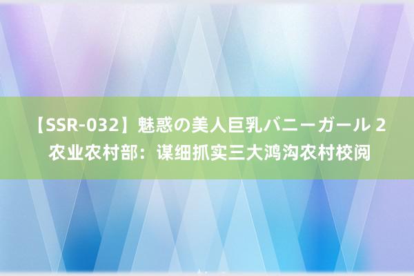 【SSR-032】魅惑の美人巨乳バニーガール 2 农业农村部：谋细抓实三大鸿沟农村校阅