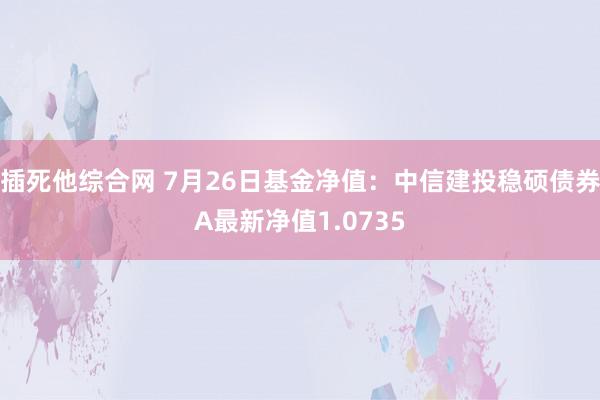 插死他综合网 7月26日基金净值：中信建投稳硕债券A最新净值1.0735