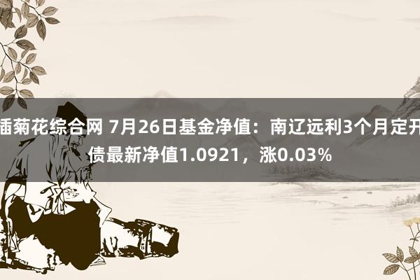 插菊花综合网 7月26日基金净值：南辽远利3个月定开债最新净值1.0921，涨0.03%