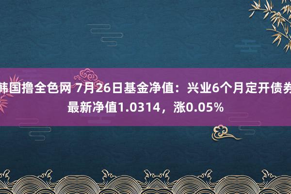 韩国撸全色网 7月26日基金净值：兴业6个月定开债券最新净值1.0314，涨0.05%