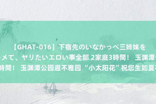 【GHAT-016】下宿先のいなかっぺ三姉妹を泥酔＆淫媚オイルでキメて、ヤリたいエロい事全部 2家庭3時間！ 玉渊潭公园遐不雅园 “小太阳花”祝您生如夏花之美丽