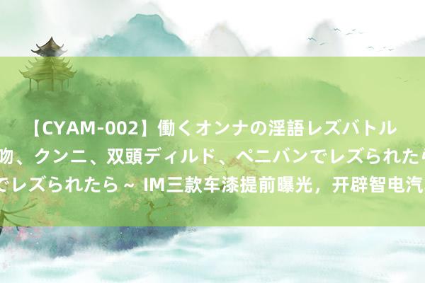 【CYAM-002】働くオンナの淫語レズバトル 2 ～もしも職場で濃厚接吻、クンニ、双頭ディルド、ペニバンでレズられたら～ IM三款车漆提前曝光，开辟智电汽车 “艺术流”