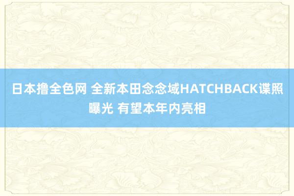 日本撸全色网 全新本田念念域HATCHBACK谍照曝光 有望本年内亮相