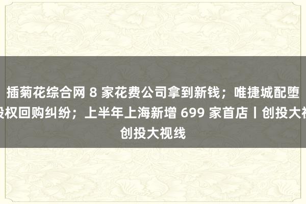 插菊花综合网 8 家花费公司拿到新钱；唯捷城配堕入股权回购纠纷；上半年上海新增 699 家首店丨创投大视线