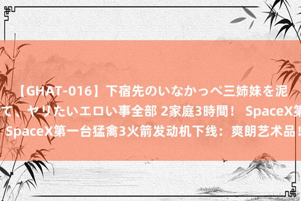 【GHAT-016】下宿先のいなかっぺ三姉妹を泥酔＆淫媚オイルでキメて、ヤリたいエロい事全部 2家庭3時間！ SpaceX第一台猛禽3火箭发动机下线：爽朗艺术品！推力280吨