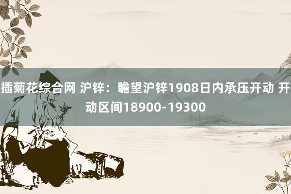 插菊花综合网 沪锌：瞻望沪锌1908日内承压开动 开动区间18900-19300