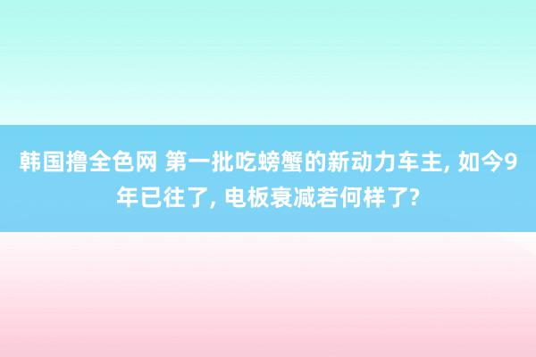 韩国撸全色网 第一批吃螃蟹的新动力车主, 如今9年已往了, 电板衰减若何样了?