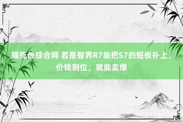 插死他综合网 若是智界R7能把S7的短板补上、价钱到位，就能卖爆