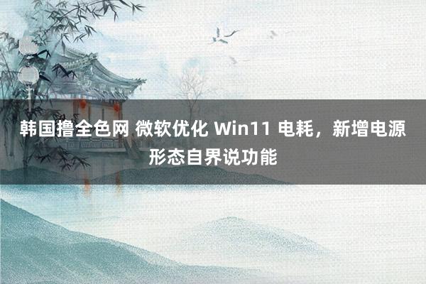 韩国撸全色网 微软优化 Win11 电耗，新增电源形态自界说功能