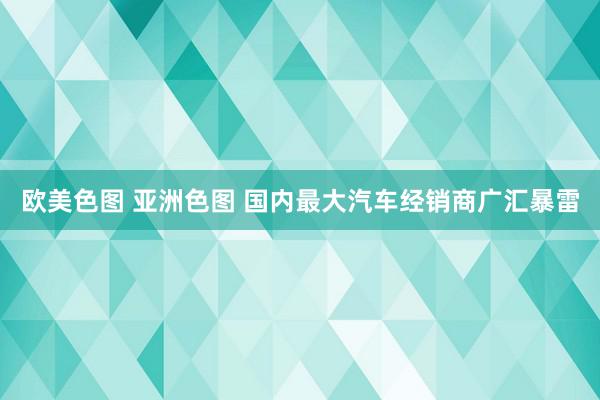 欧美色图 亚洲色图 国内最大汽车经销商广汇暴雷