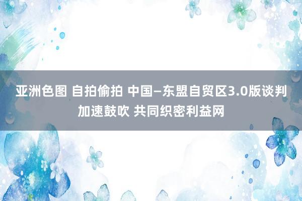 亚洲色图 自拍偷拍 中国—东盟自贸区3.0版谈判加速鼓吹 共同织密利益网