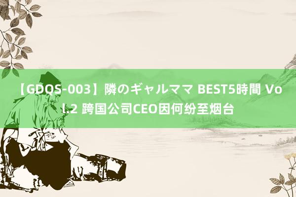 【GDQS-003】隣のギャルママ BEST5時間 Vol.2 跨国公司CEO因何纷至烟台